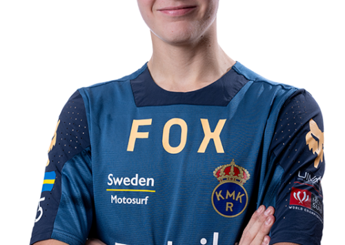 SWE-AlexanderLanner