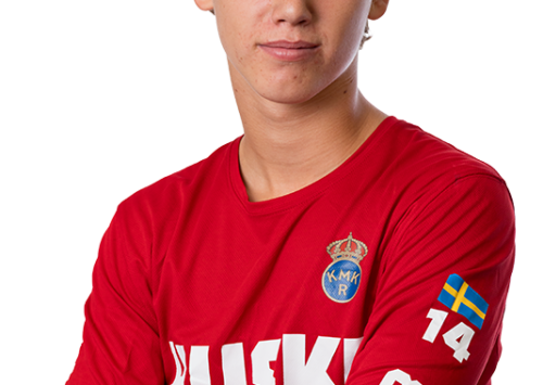 SWE-RingoRimer_800px