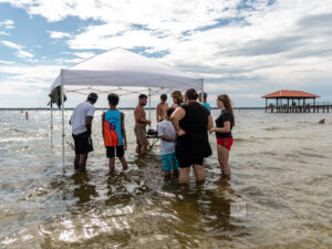 MSG26-SEBRING-16