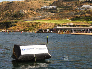 MSWC26-SPAIN-16